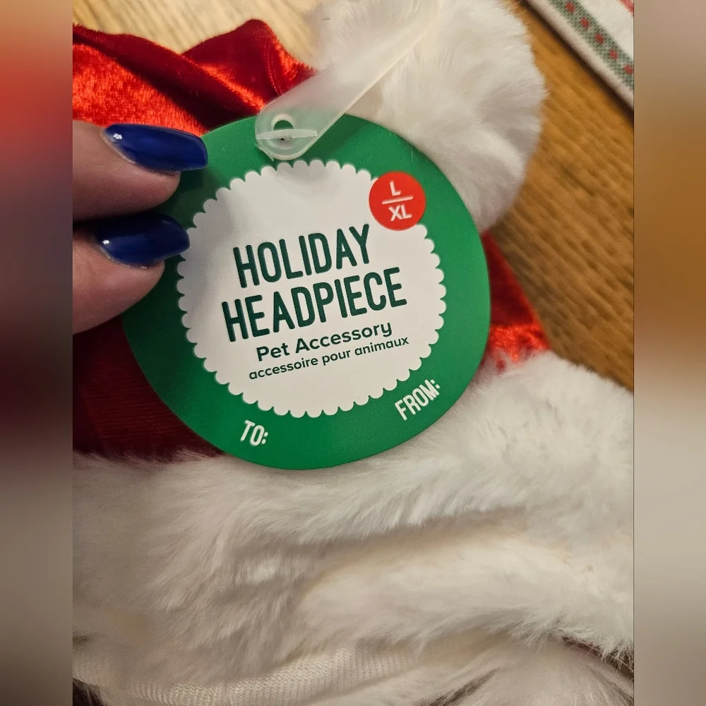 NWT Santa Hat with Beard Holiday Headpiece Pet Accessory L/XL Adjustable